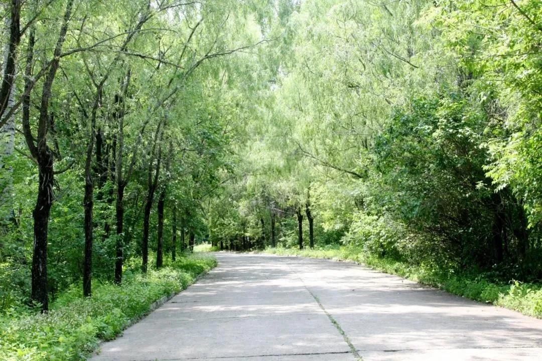 首页 - BB电子官方网站