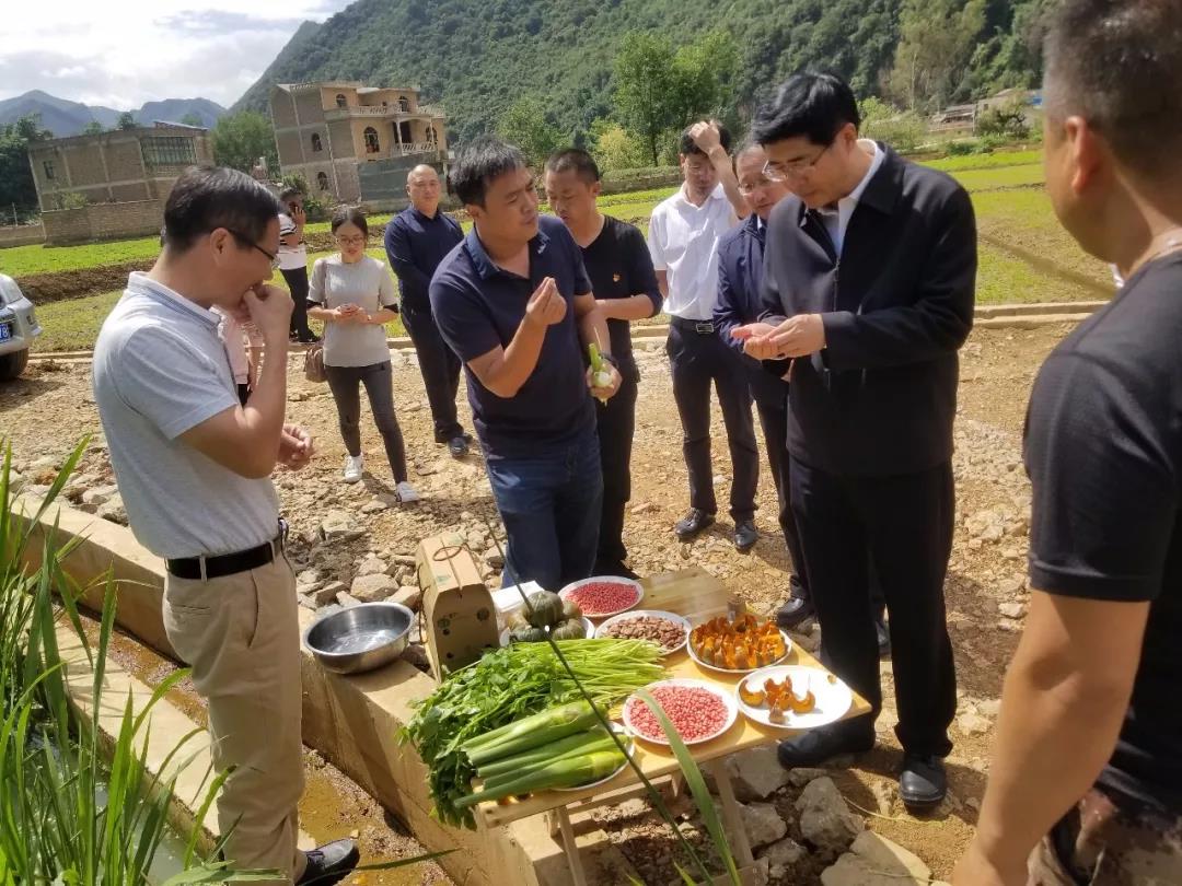 首页 - BB电子官方网站