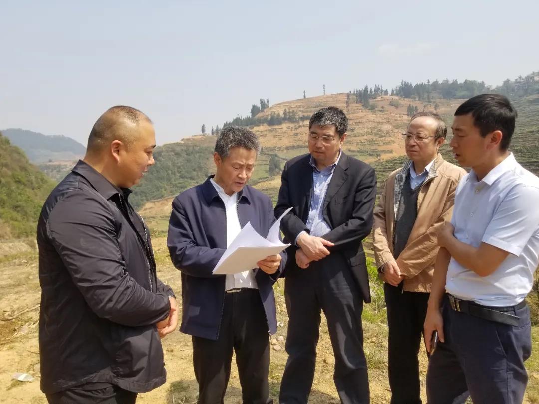 首页 - BB电子官方网站